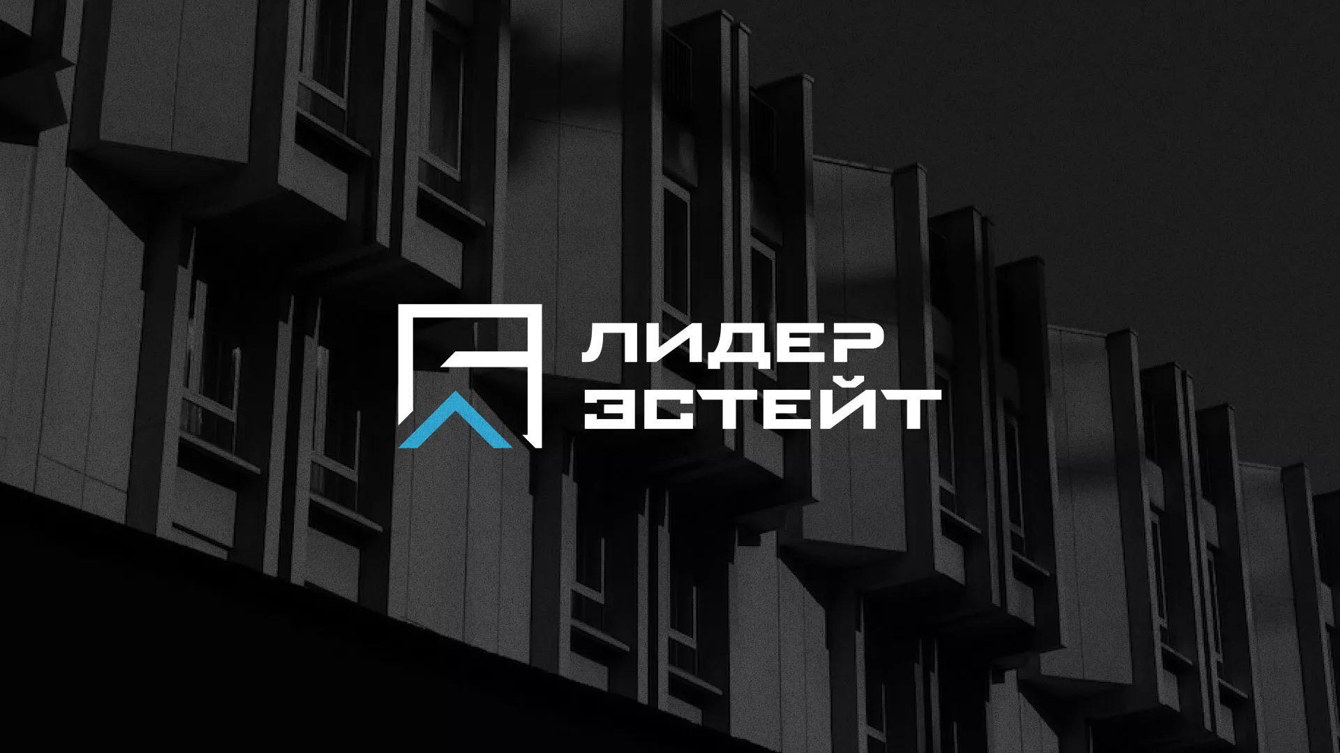 Разработка логотипа агентства недвижимости «Лидер Эстейт» в Иркутске